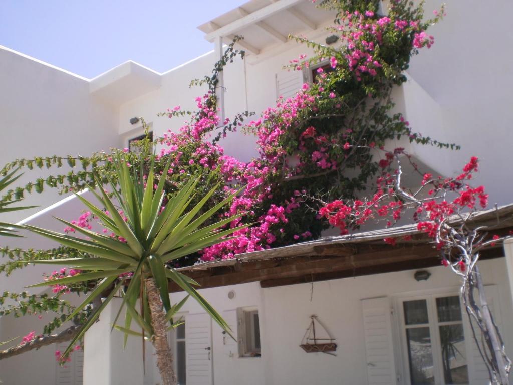Paros Rita Studios Piso Livadi Buitenkant foto